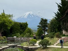 -河口湖八音盒之森美术馆