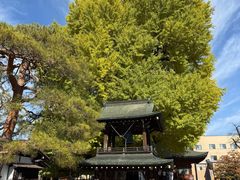 -医王山·飞騨国分寺