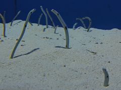 -上海海洋水族馆