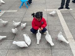 -费大厨辣椒炒肉(新城吾悦广场店)