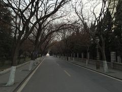 -八大关景区