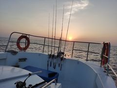 -小猫钓鱼海钓俱乐部(椰梦长廊店)