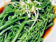 -四世同堂·京菜·烤鸭(双井店)
