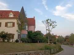 -大塘金香草谷