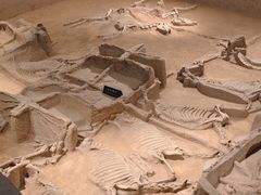 -洛阳周王城天子驾六博物馆