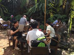 -Fern Forest Cafe