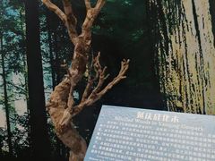 -延庆地质公园博物馆