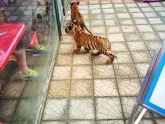 -秦皇岛野生动物园