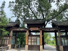 -溱湖国家湿地公园