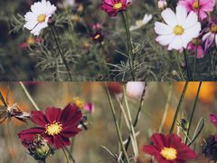 -南京中医药大学(仙林校区)