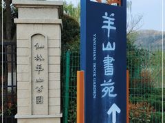-羊山湖公园