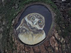 -潜山国家森林公园