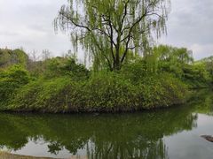 -房湖公园