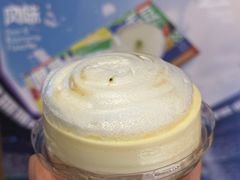 -蒲公英(五里店)