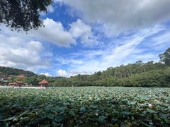 -南国桃园旅游度假区