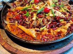 -老板恋上鱼(恒隆广场店)