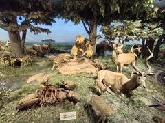 -国家自然博物馆