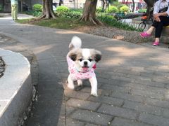 -兆祥公园
