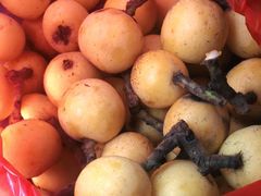 -塘栖枇杷特色园区