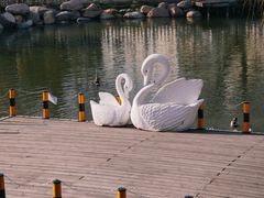 -J Create城市露营咖啡·简餐·宠物(上海动物园店)