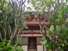 -新加坡佛牙寺龙华院