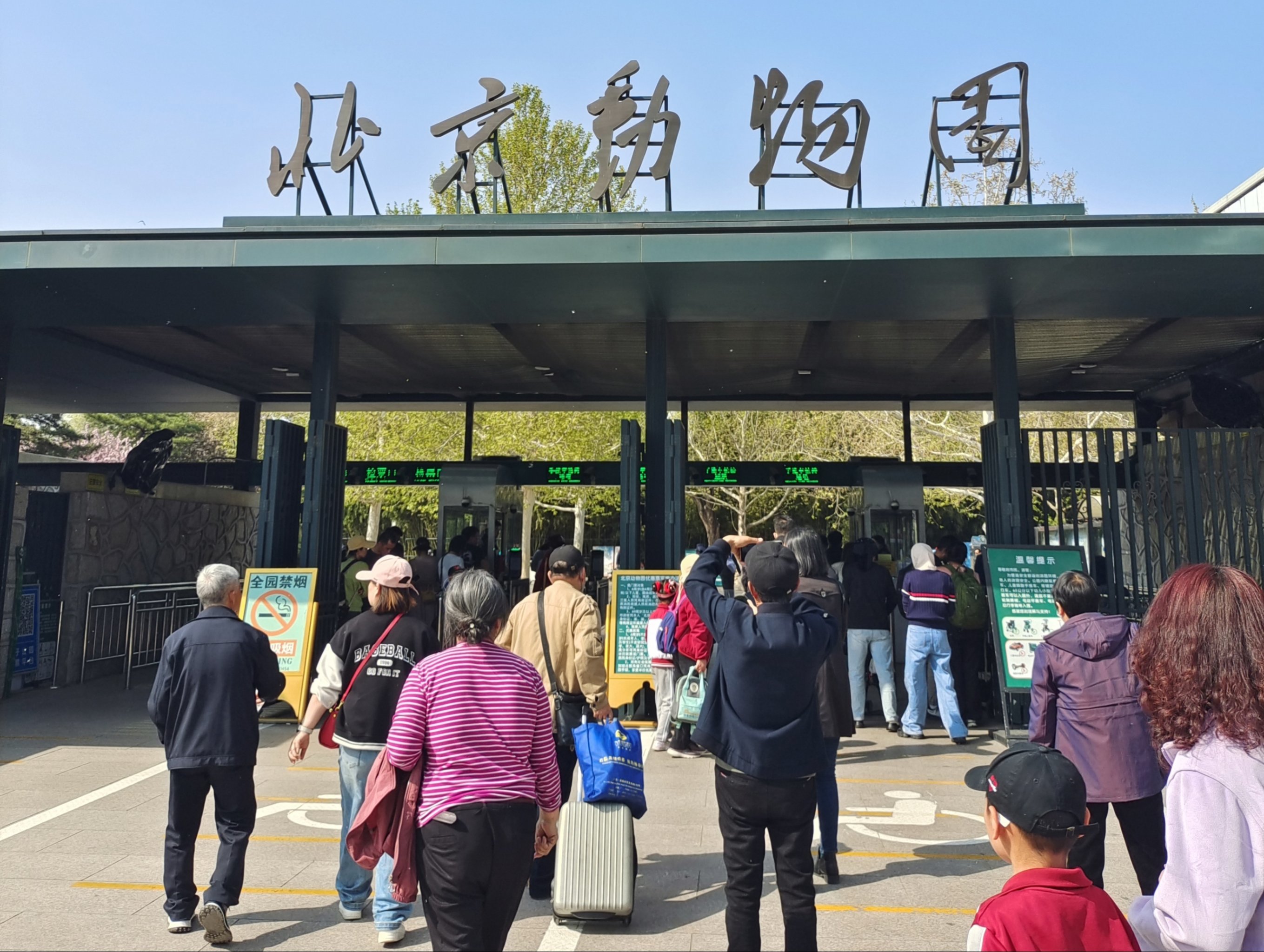 亭畔观花|北京动物园|花中之王