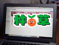 -西瓜庄园儿童摄影