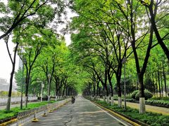 -后襄河公园