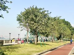 -洲头咀公园