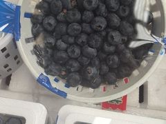 -西郊国际农产品交易中心