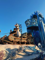 -翱翔飞越地平线