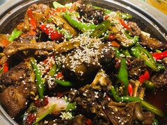 -猫头婴小酒馆FUN OWL(1912店)