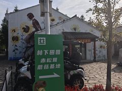 -柳鹭田园区