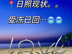 -巧克力渔家.小船海鲜家常菜(万平口店)