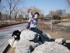 -大兴滨河森林公园