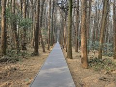 -同里国家湿地公园