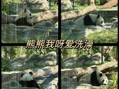 -武汉动物园
