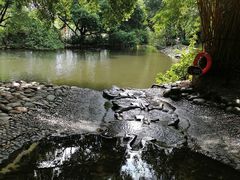 -成都市活水公园