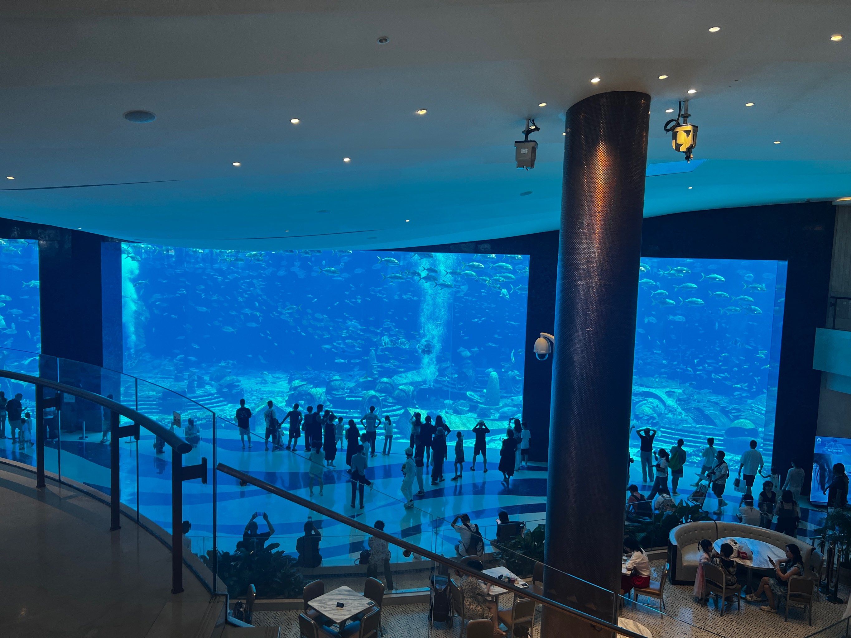 未来水族馆的一天体验