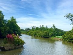 -大湾区中央湿地公园