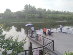 -西安汉城湖景区