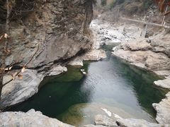 -黑河国家森林公园