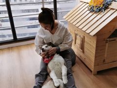 -Husky Go! 哈士奇体验馆·宠物咖啡厅狗咖