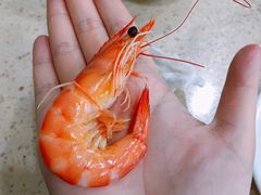 -原味蒸汽海鲜(嵊泗店)