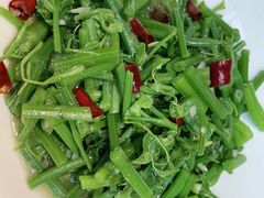 -滇铺子·云南特色菜·第九届野生菌美食节(东风东路c86店)