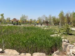 -水西公园