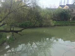 -乌村