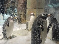 -波塞冬海底世界