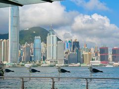 -海港城