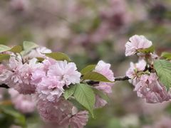 -朝阳公园
